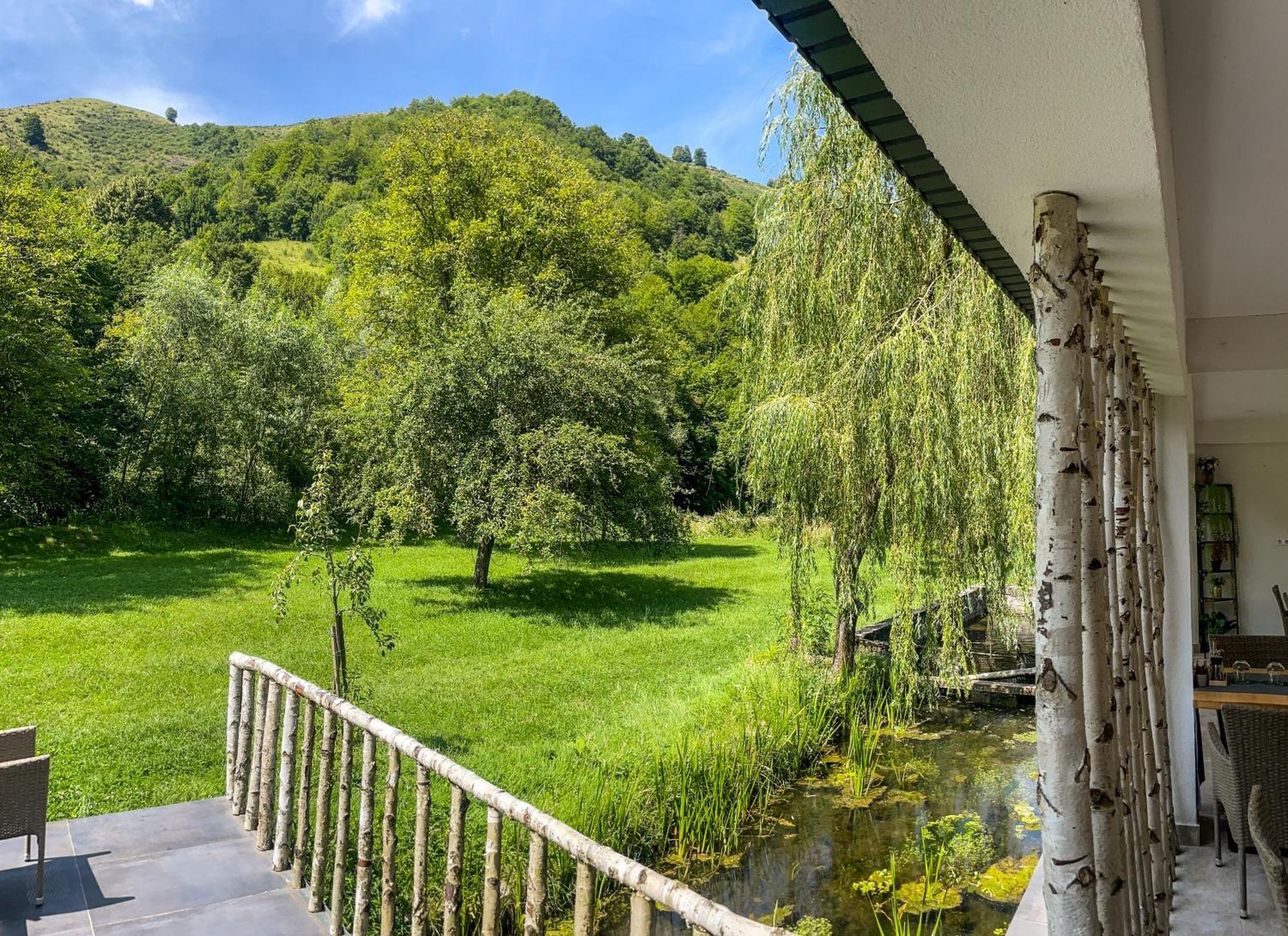 Pensiunea An De An Remeţi Extérieur photo